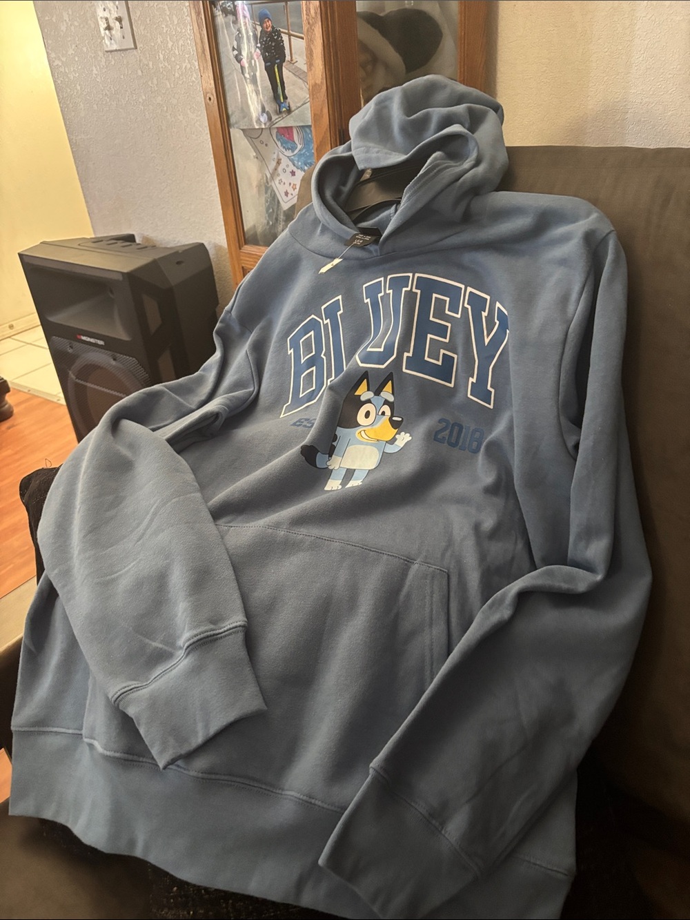 Lucy Crewneck Sweatshirt in Dusty Blue with Graphic